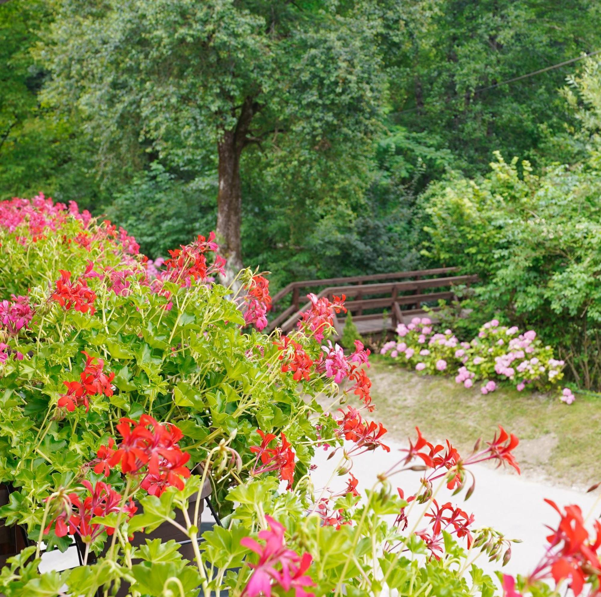 Domacija Bubec Villa Ilirska Bistrica Ngoại thất bức ảnh