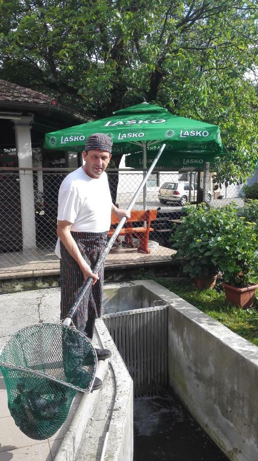 Domacija Bubec Villa Ilirska Bistrica Ngoại thất bức ảnh